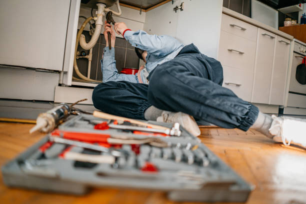 Best Clogged Drain Plumber  in Wilton Manors, FL